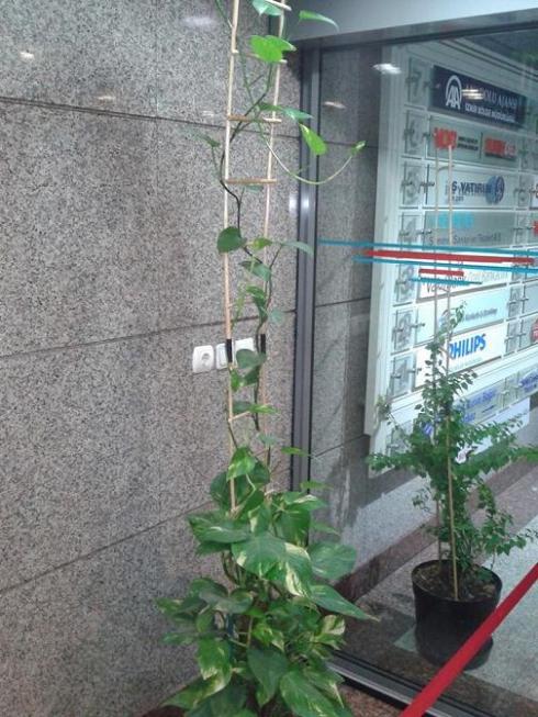 Name:  ek.jpg
Views: 1249
Size:  65.5 KB