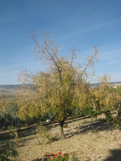 Name:  genel2.jpg
Views: 1163
Size:  40.8 KB