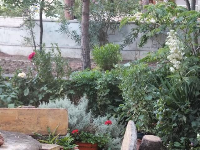 Name:  DSCF1373.jpg
Views: 257
Size:  64.8 KB