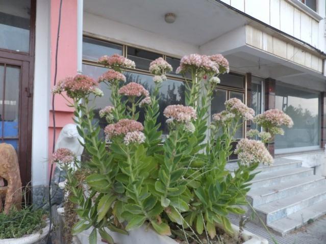 Name:  DSCF1406.jpg
Views: 232
Size:  50.8 KB