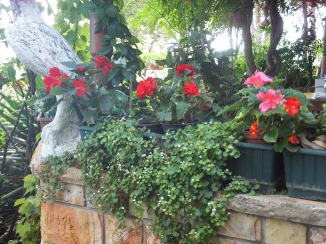 Name:  DSCF1429.jpg
Views: 234
Size:  67.2 KB