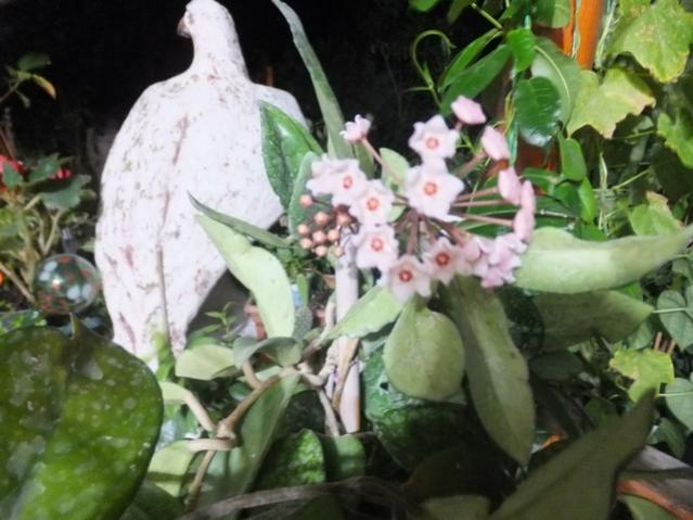 Name:  DSCF1471.jpg
Views: 219
Size:  46.3 KB