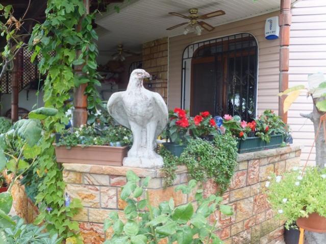 Name:  DSCF1508.jpg
Views: 621
Size:  61.8 KB