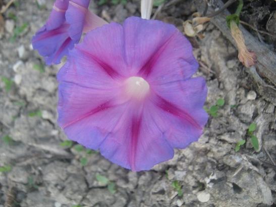 Name:  sabah s..jpg
Views: 1424
Size:  32.2 KB