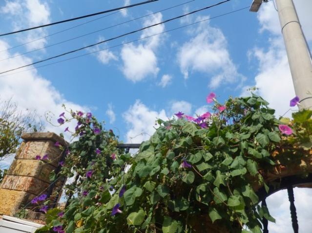 Name:  DSCF1540.jpg
Views: 412
Size:  53.7 KB