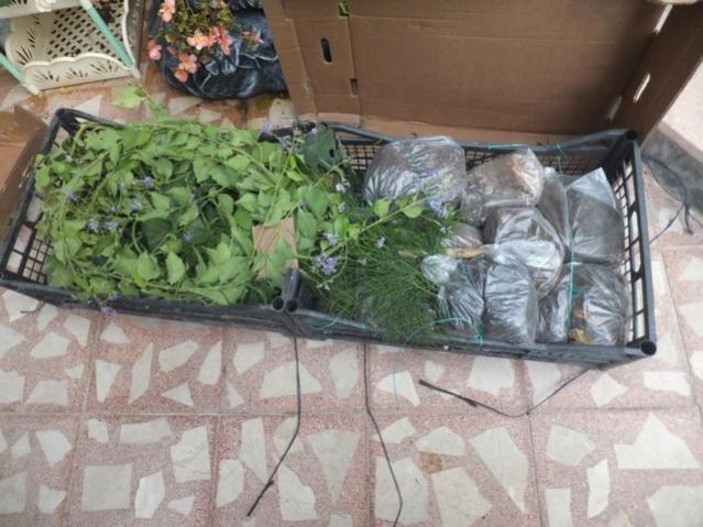 Name:  DSCF1592.jpg
Views: 373
Size:  52.2 KB