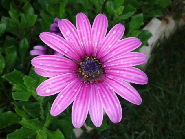 Name:  20131106_131757.jpg
Views: 418
Size:  43.2 KB
