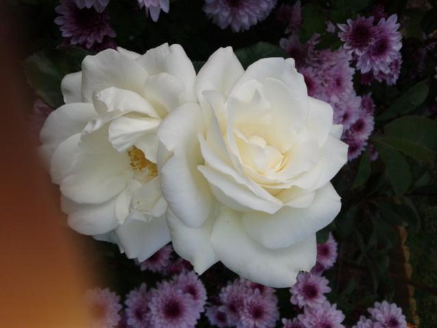 Name:  20131106_131837.jpg
Views: 351
Size:  29.6 KB