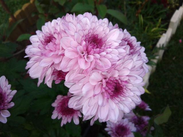 Name:  20131106_131922.jpg
Views: 350
Size:  39.8 KB