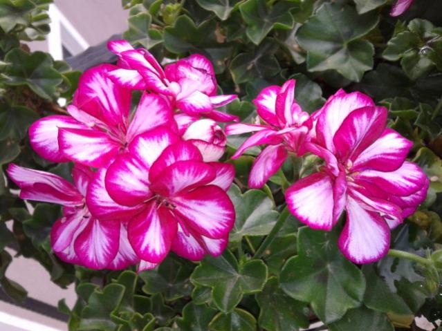 Name:  20131106_132002.jpg
Views: 349
Size:  55.9 KB