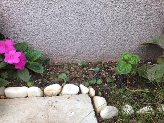 Name:  DSCF3016.jpg
Views: 607
Size:  68.8 KB