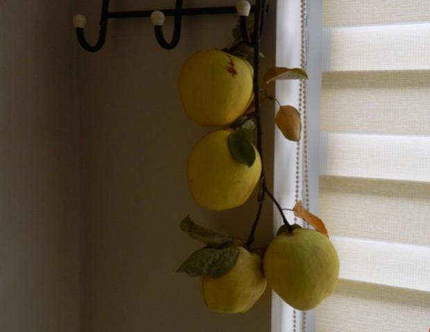 Name:  Resim 056.jpg
Views: 2082
Size:  21.1 KB