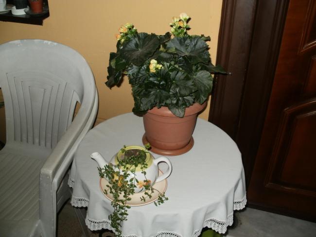 Name:  P1010596a.jpg
Views: 376
Size:  36.1 KB