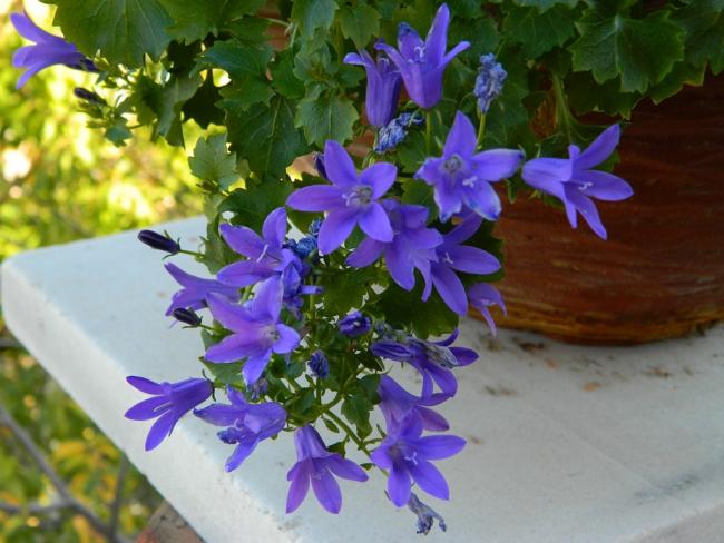 Name:  DSCN1201.jpg
Views: 766
Size:  48.4 KB