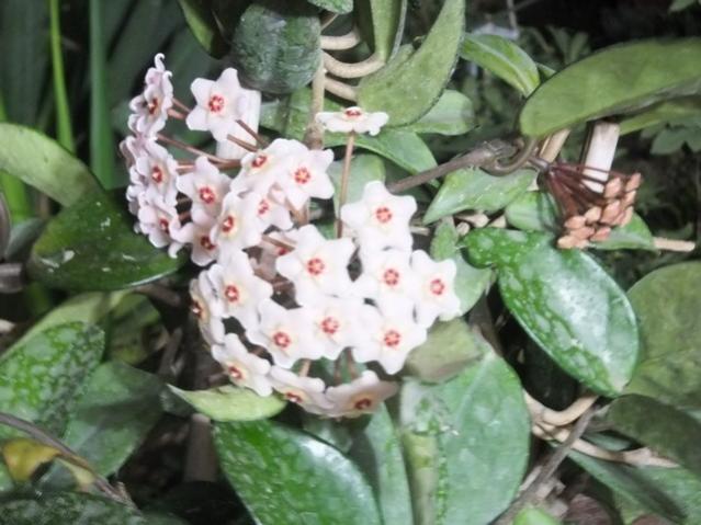 Name:  DSCF1698.jpg
Views: 280
Size:  47.1 KB