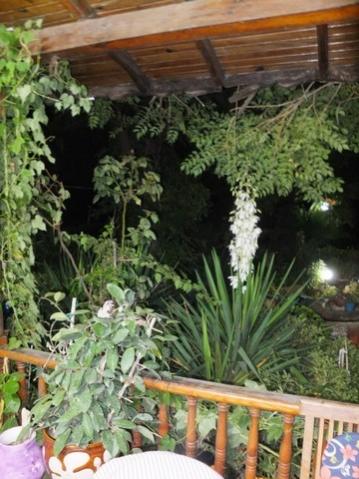 Name:  DSCF1703.jpg
Views: 292
Size:  39.0 KB