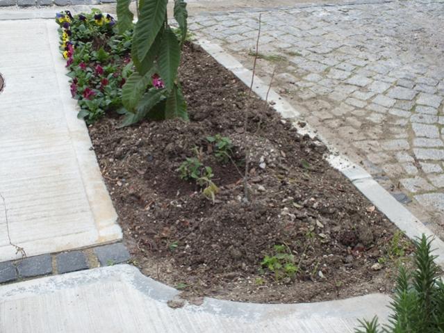 Name:  DSCF3029.jpg
Views: 656
Size:  63.5 KB