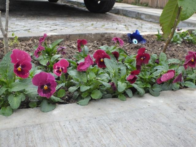 Name:  DSCF3036.jpg
Views: 475
Size:  55.3 KB