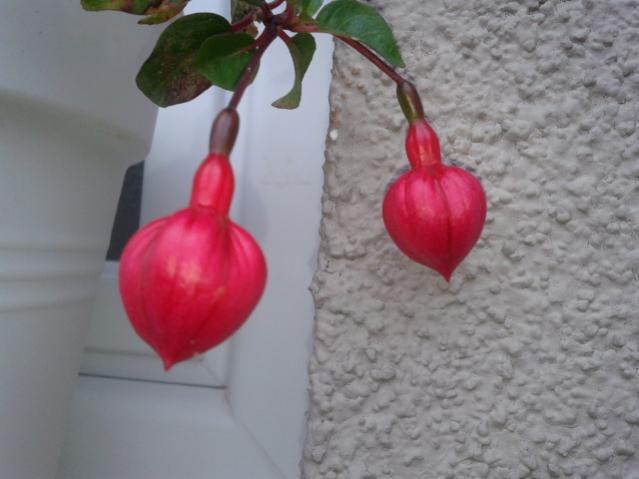 Name:  20131114_074527.jpg
Views: 477
Size:  32.3 KB