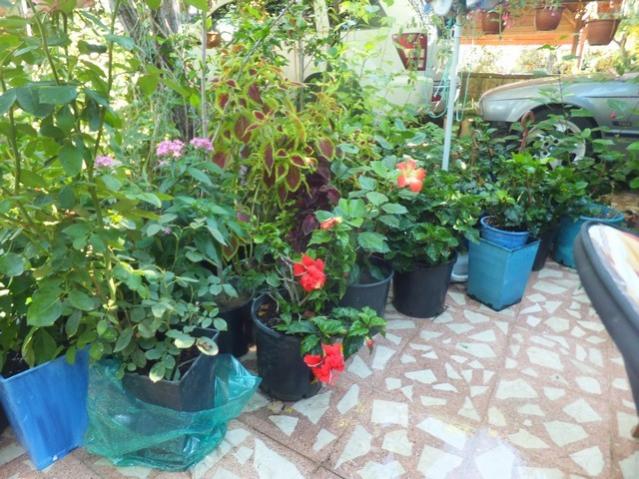Name:  DSCF1811.jpg
Views: 301
Size:  67.0 KB