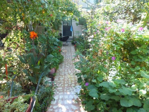 Name:  DSCF1827.jpg
Views: 311
Size:  72.0 KB