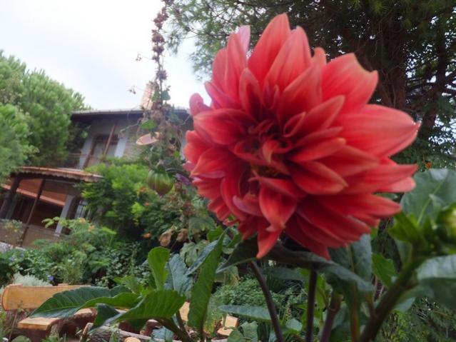 Name:  DSCF1904.jpg
Views: 265
Size:  50.7 KB