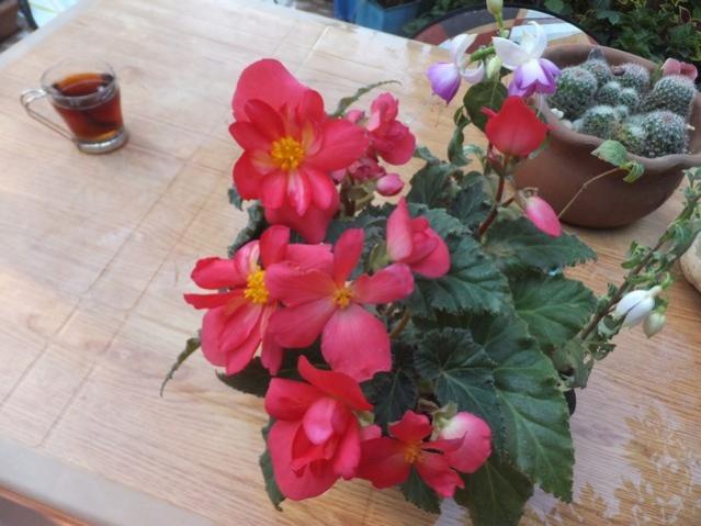 Name:  DSCF1943.jpg
Views: 256
Size:  45.1 KB