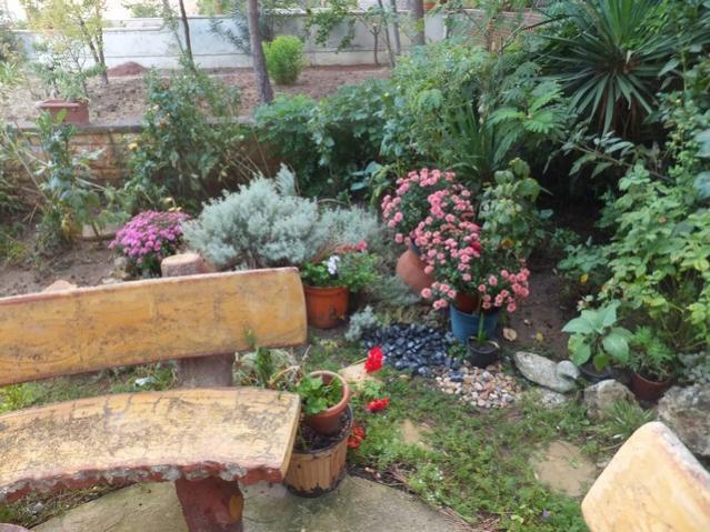 Name:  DSCF1970.jpg
Views: 291
Size:  68.7 KB