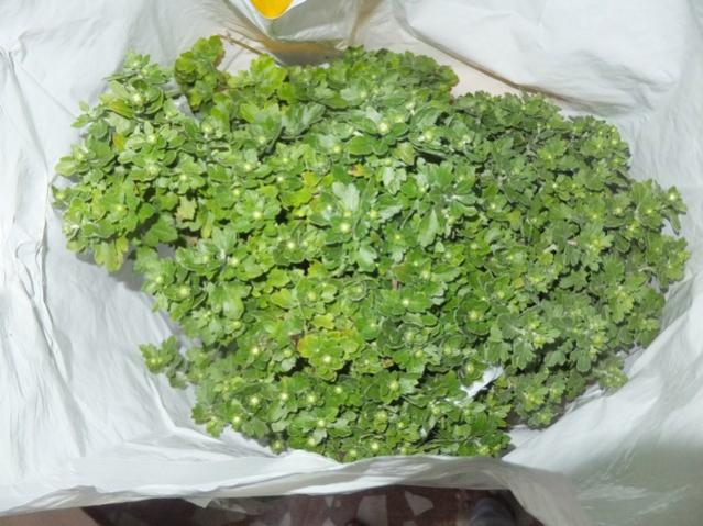 Name:  DSCF2061.jpg
Views: 369
Size:  55.8 KB