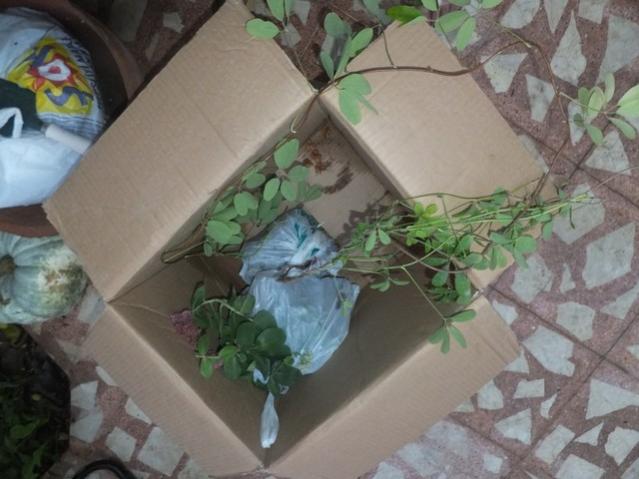 Name:  DSCF2063.jpg
Views: 355
Size:  42.4 KB