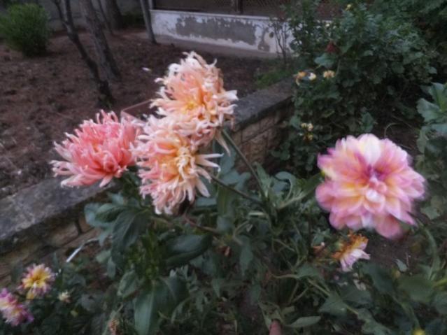 Name:  DSCF2110.jpg
Views: 345
Size:  43.6 KB