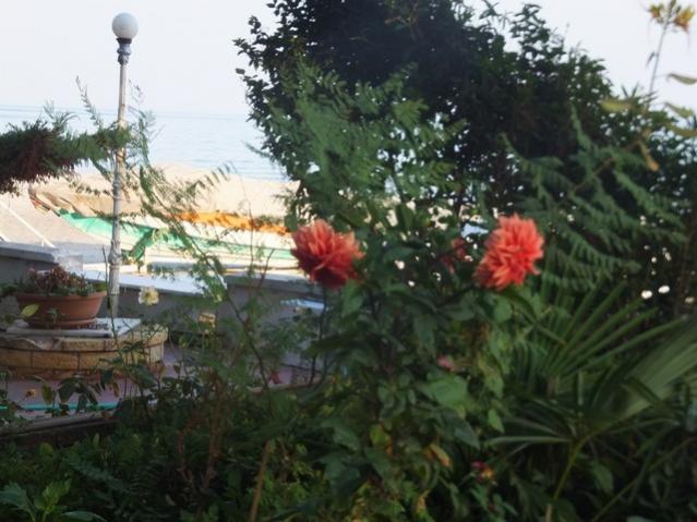 Name:  DSCF2177.jpg
Views: 256
Size:  49.3 KB