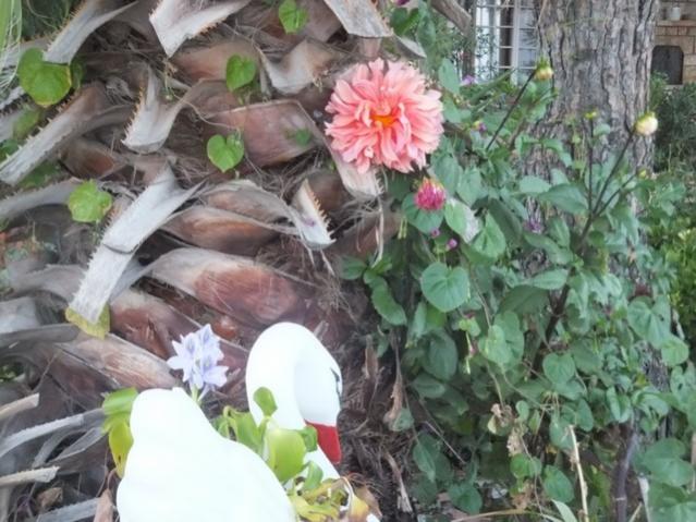 Name:  DSCF2205.jpg
Views: 278
Size:  56.9 KB