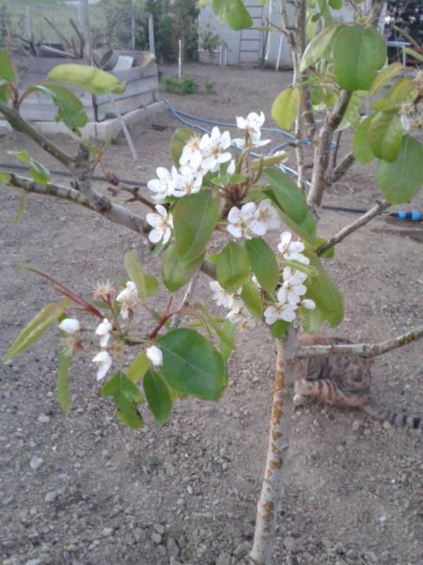 Name:  Resim 341-800.jpg
Views: 500
Size:  58.7 KB