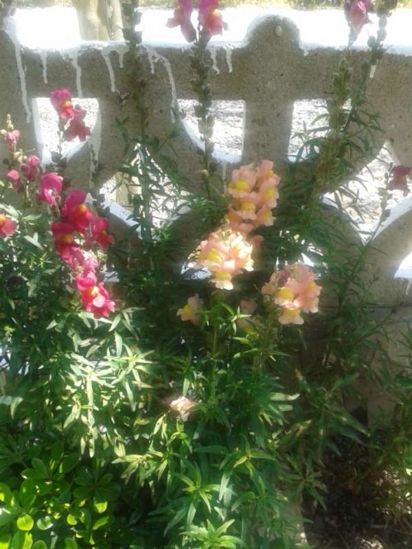Name:  Resim 367-800.jpg
Views: 446
Size:  61.2 KB