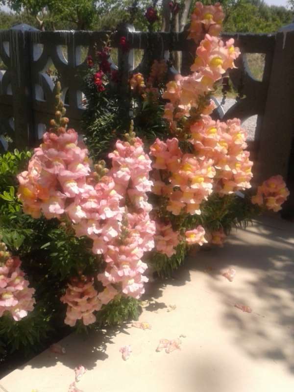 Name:  Resim 370-800.jpg
Views: 445
Size:  51.0 KB