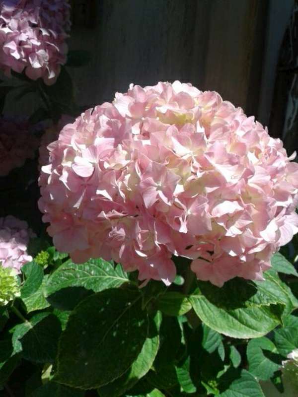Name:  Resim 451-800.jpg
Views: 454
Size:  48.6 KB