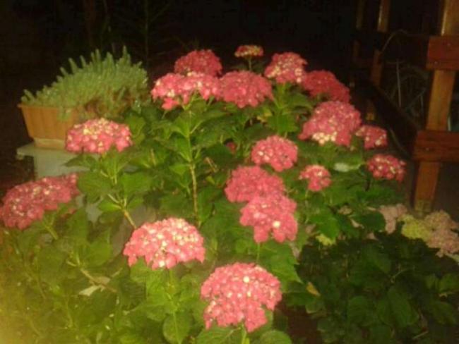 Name:  Resim 467-800.jpg
Views: 432
Size:  37.7 KB