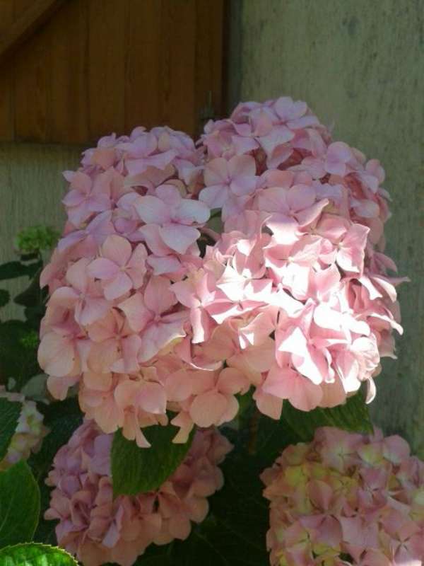 Name:  Resim 479-800.jpg
Views: 443
Size:  40.0 KB