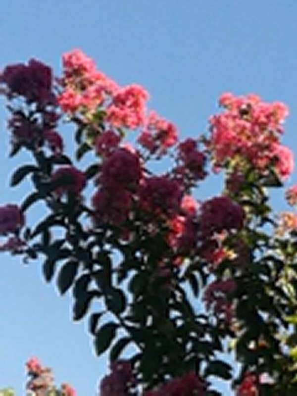 Name:  Resim 463-800.jpg
Views: 778
Size:  41.9 KB