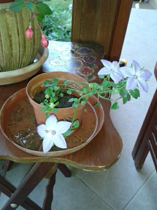 Name:  Resim 470-800.jpg
Views: 751
Size:  48.3 KB