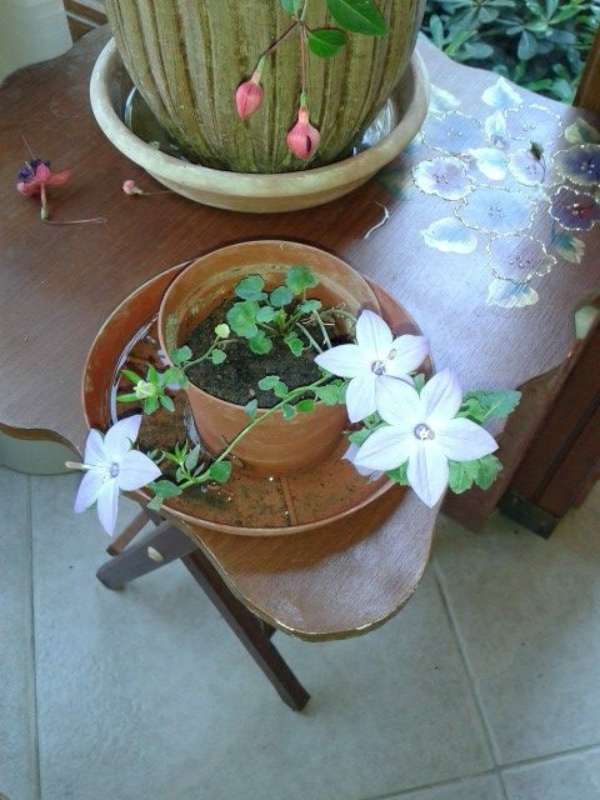 Name:  Resim 474-800.jpg
Views: 734
Size:  48.4 KB