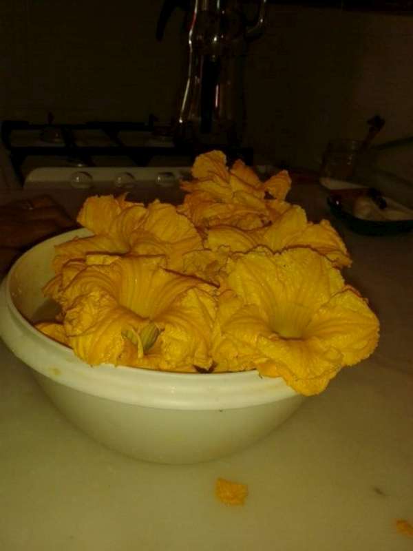 Name:  Resim 521-800.jpg
Views: 726
Size:  26.0 KB