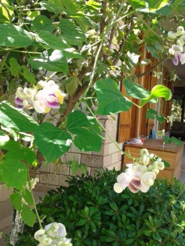 Name:  Resim 554-800.jpg
Views: 687
Size:  70.0 KB