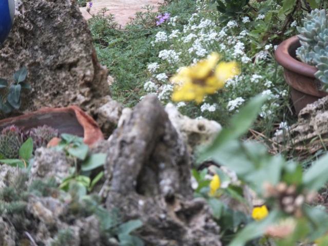 Name:  DSCF2332.jpg
Views: 286
Size:  55.2 KB