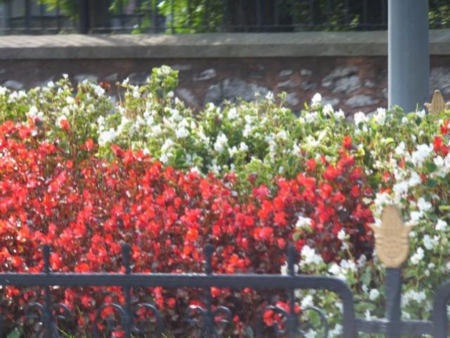 Name:  DSCF2356.jpg
Views: 283
Size:  60.6 KB