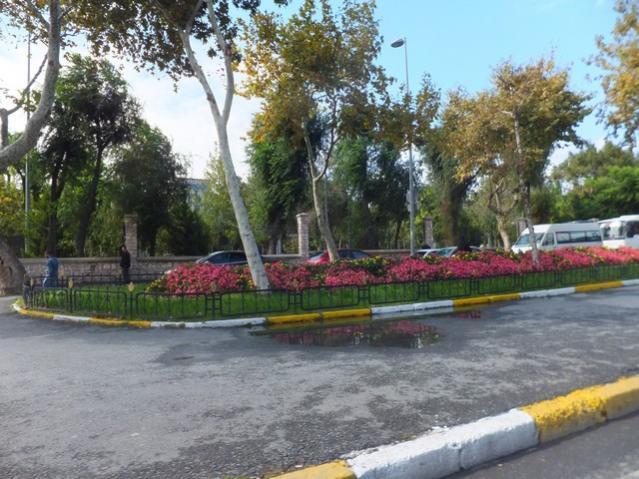 Name:  DSCF2362.jpg
Views: 279
Size:  61.9 KB