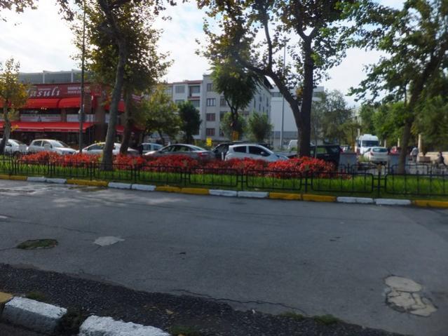 Name:  DSCF2363.jpg
Views: 276
Size:  55.0 KB