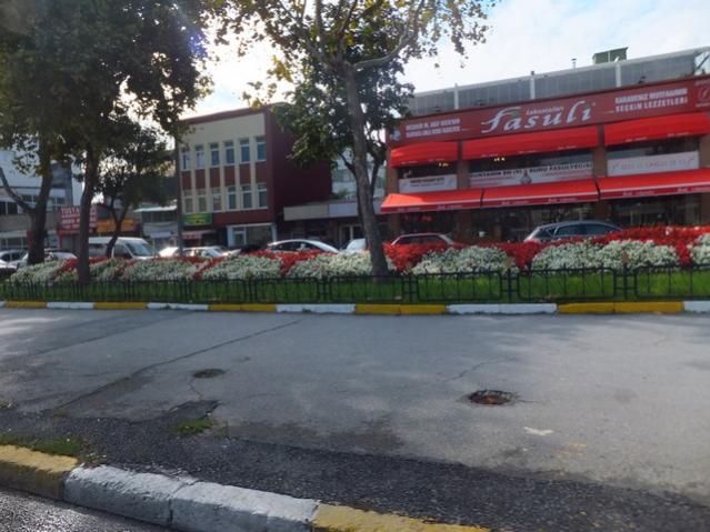 Name:  DSCF2364.jpg
Views: 281
Size:  52.0 KB