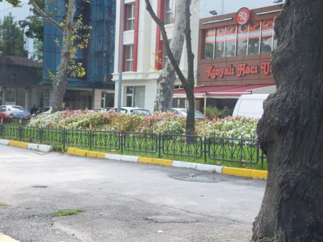 Name:  DSCF2368.jpg
Views: 305
Size:  53.7 KB